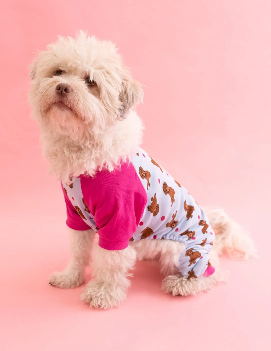 Dog Print Pajamas