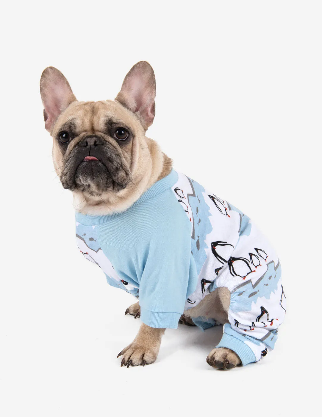 Dog Print Pajamas