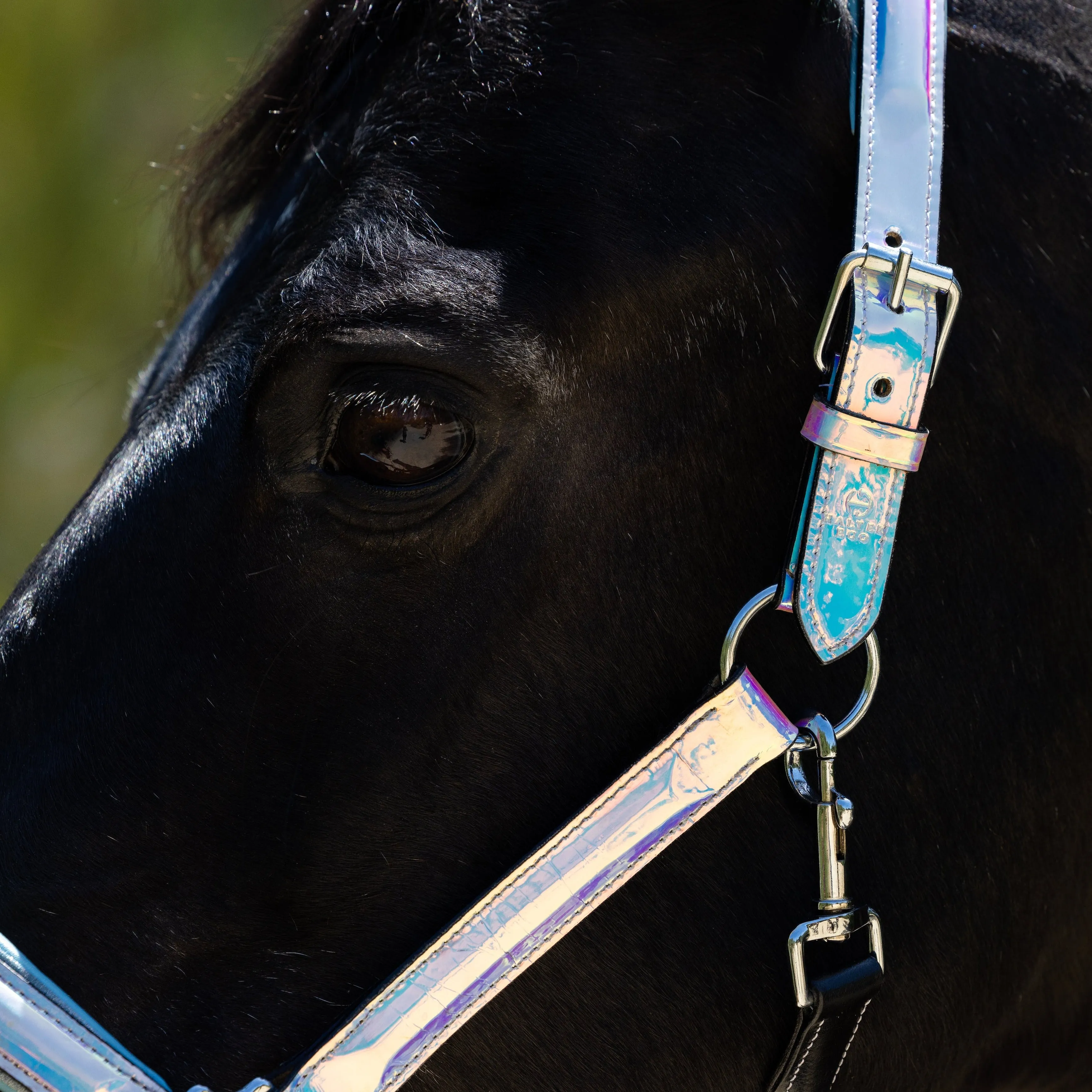 Elsa - Neon Blue with Blue Glitter Piping Halter