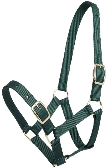 Gymkhana Foal Halter