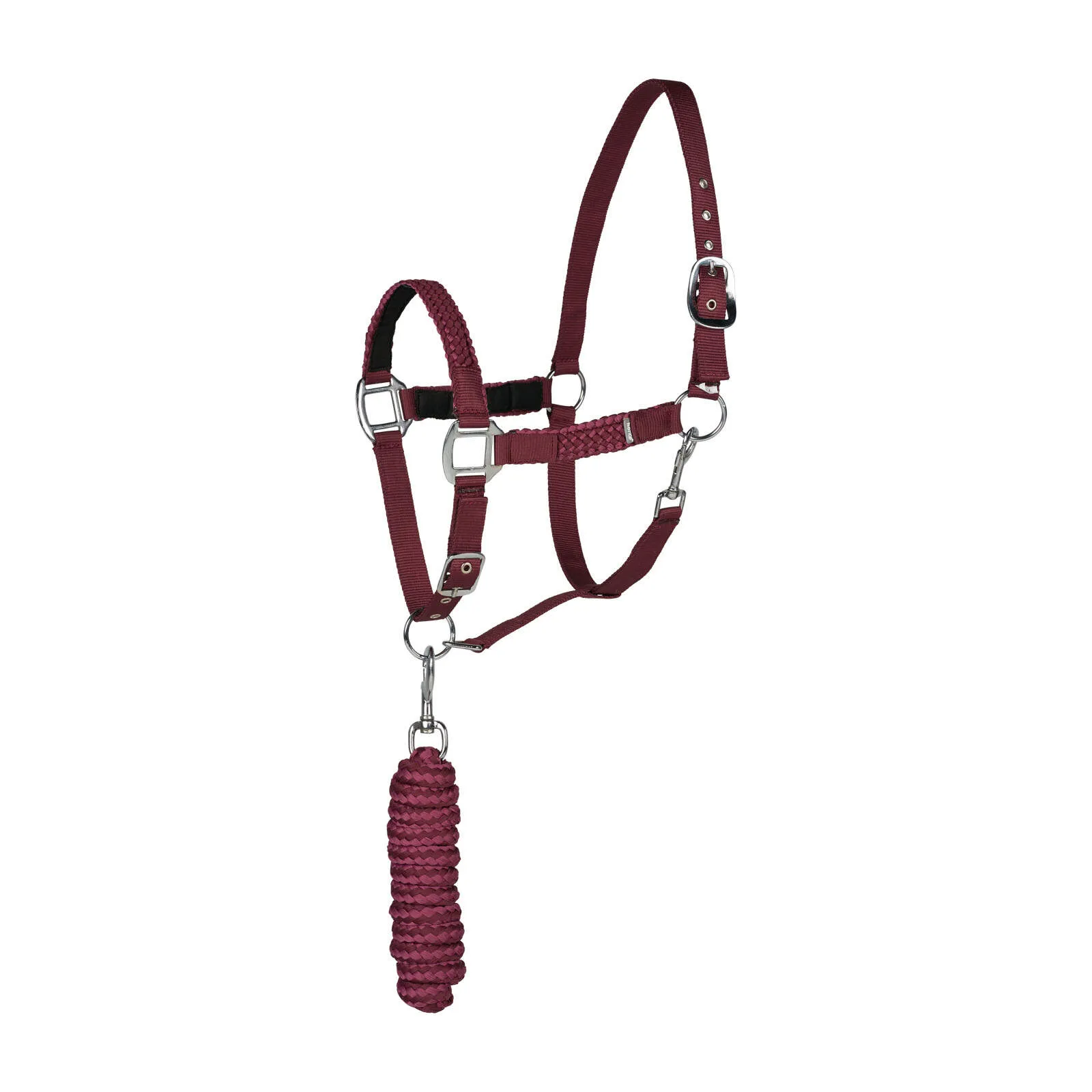 Halter & Lead Set (Burgundy & Violet Quartz)