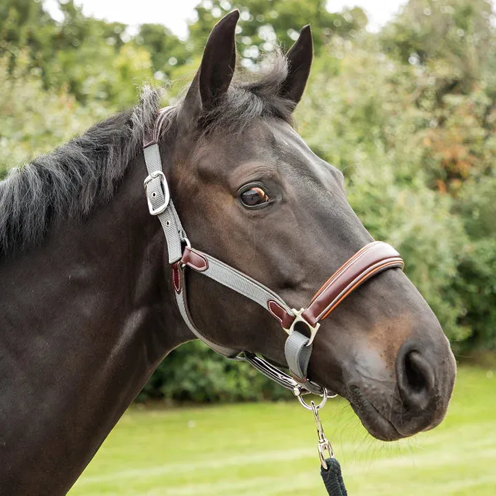 KM Elite Brown Leather and Grey Nylon Halter