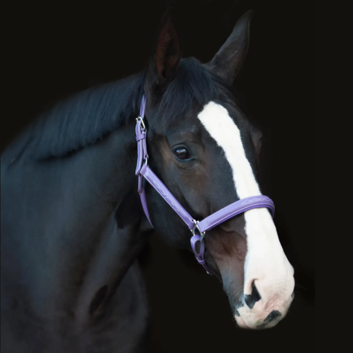 Leather Halter With Top Stitching - Violet Purple