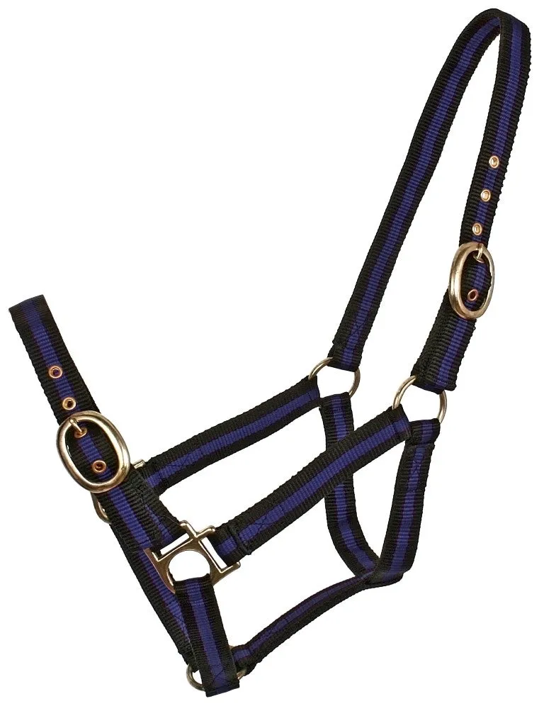 Nylon Halter striped WEB HALTERS