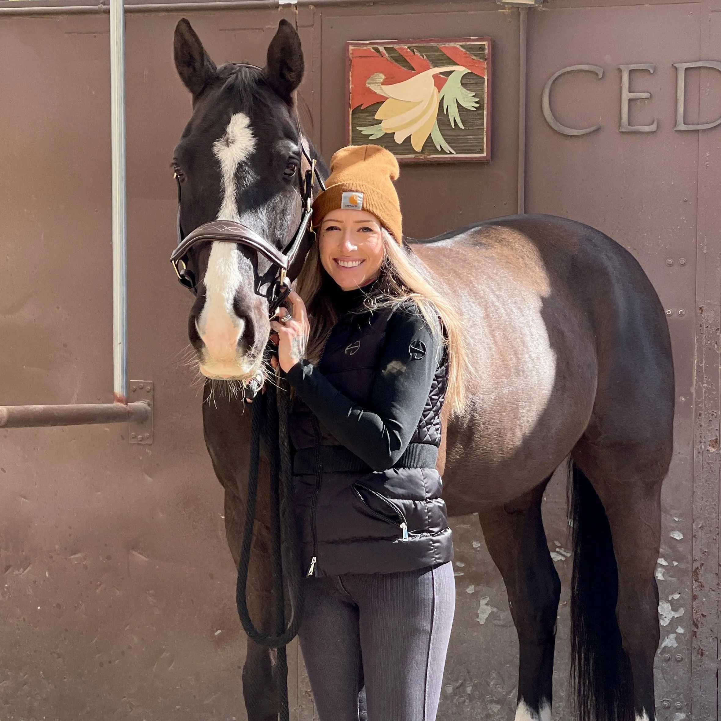 The Hamburg Brown Leather Halter with Fancy Stitching