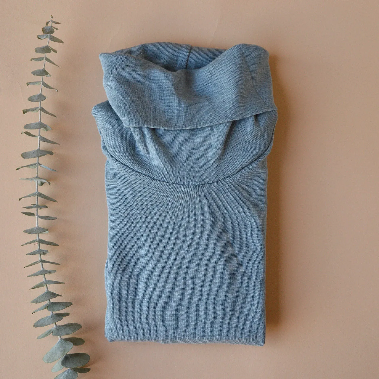 Women's Turtleneck Long Sleeve Top in Organic Merino/Silk